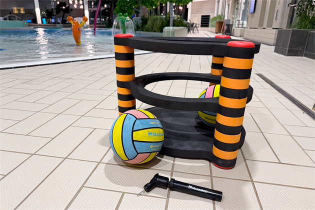 Pool Toys Medium